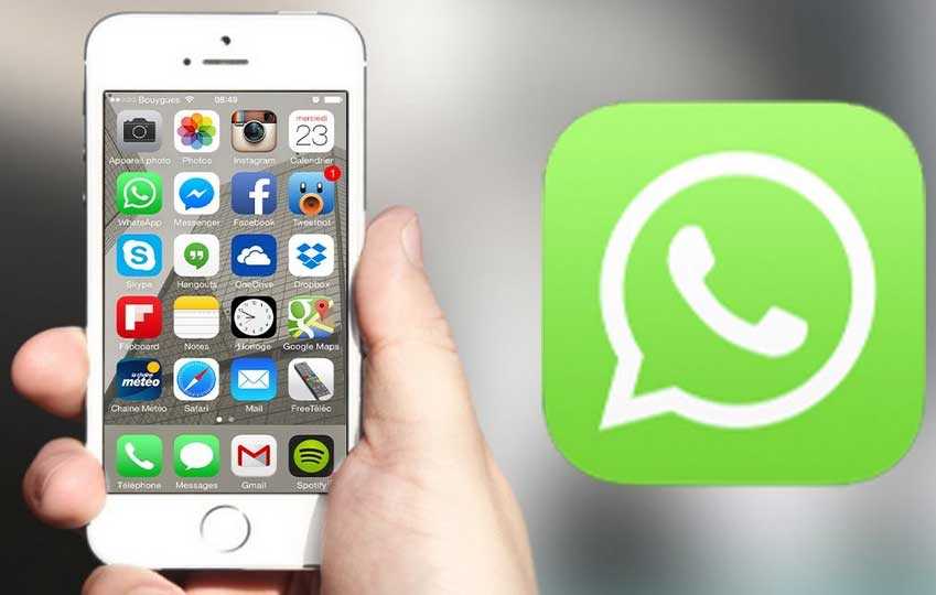 download beta whatsapp